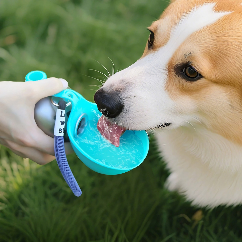 Furvia Drink®